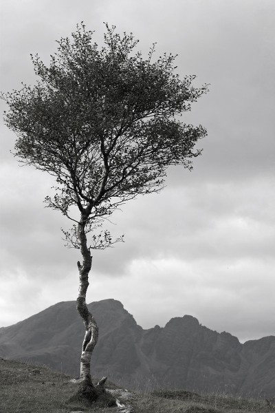 001 high pasture cave landscape 01